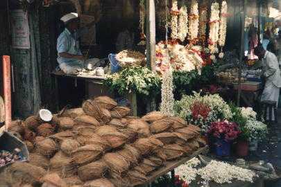   .   Flowers and coconuts. South India