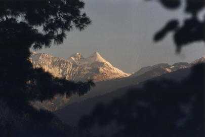  .    . .  The Mount M. A view from the Roerich Estate. Naggar. Kullu